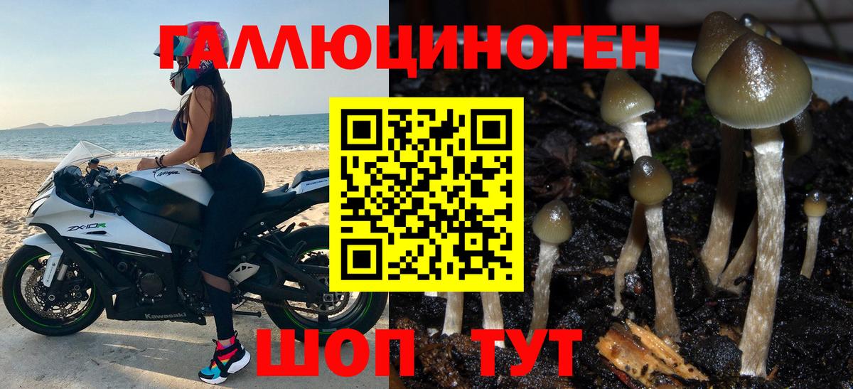 Псилоцибиновые грибы мицелий Ртищево