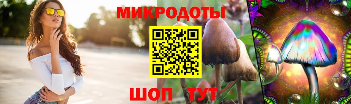 Галлюциногенные грибы GOLDEN TEACHER  дарнет шоп  Вход с VPN  Ртищево  Псилоцибиновые грибы мицелий 